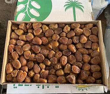 Финики Цукари, урожай 2025 года Sukari Dates 2025 🌴Цена за кг - 500с