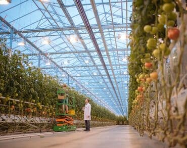 пишпек дом продать: 22 соток, Для сельского хозяйства, Красная книга — 3