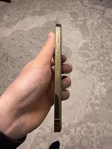 xr 13pro: IPhone 13 Pro, Золотой — 4