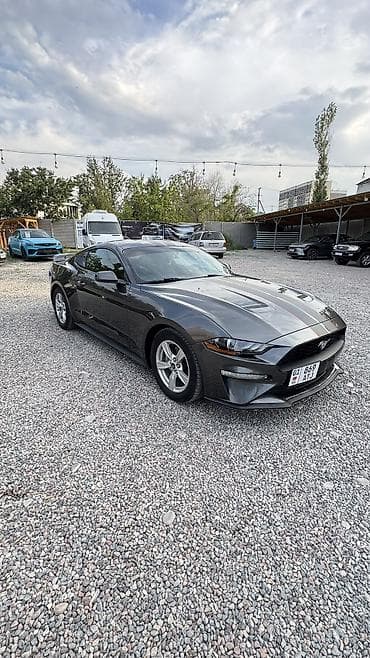 ford focus бампер: Ford Mustang: 2020 г., 2.3 л, Автомат, Бензин, Купе — 2