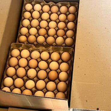 кола цена бишкек: Приглашаем к сотрудничеству торговые павильоны кондитерские цеха — 4