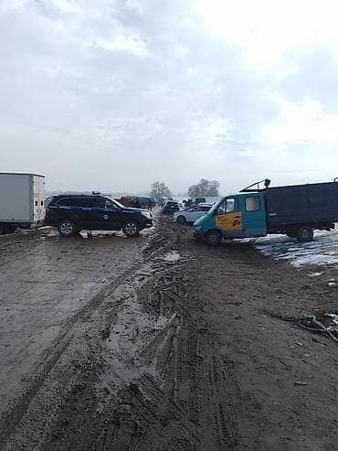 sprinter 4wd: Легкий грузовик, Mercedes-Benz, Стандарт — 5