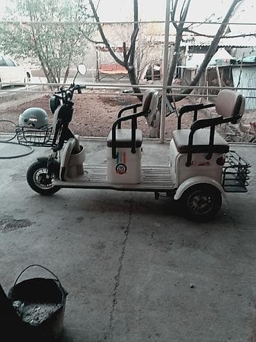 techno spark: Электрический трехколесный скутер/рикша для пассажирских и — 3