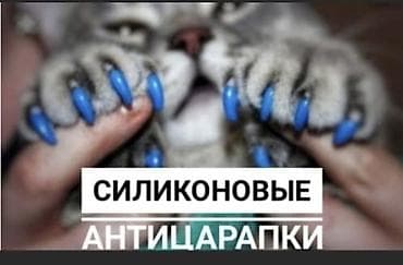 fish eye: Силиконовый антицарапки. Многие на просторах интернета сталкивались — 2