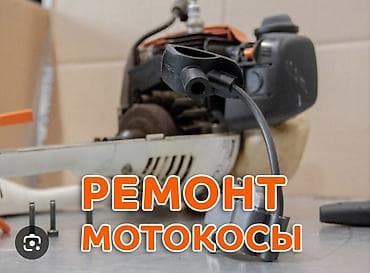 мастер утюг: Профессиональный ремонт садовой бензотехники: - Триммеры/мотокосы — 2