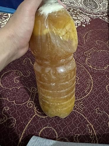 Натуральный мёд в пластиковой бутылке. Без сахара, без сиропав at lalafo.kg Натуральный мёд в пластиковой бутылке. Без сахара, без сиропав