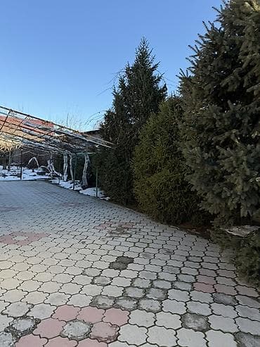 Сниму дом: Дом, 100 м², 5 комнат, Собственник, Старый ремонт — 2