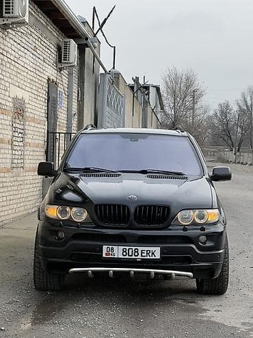 BMW X5: 2005 г., 3 л, Автомат, Дизель, Кроссовер