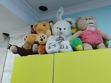 капибара игрушка цена: Мягкие игрушки – набор - Состав: плюшевые медведи (несколько — 2