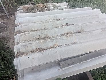 Бесплатно отдам не нужны at lalafo.kg Бесплатно отдам не нужны