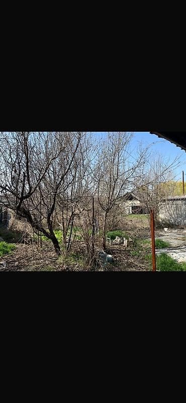 Дома: 🏡 СРОЧНО ПРОДАЕТСЯ ДОМ С УЧАСТКОМ 📍 с. Восток, ул. Спортивная, 4 💰 — 7