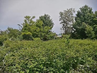 4 соток, Красная книга, Тех паспорт, Договор купли-продажи at lalafo.kg 4 соток, Красная книга, Тех паспорт, Договор купли-продажи