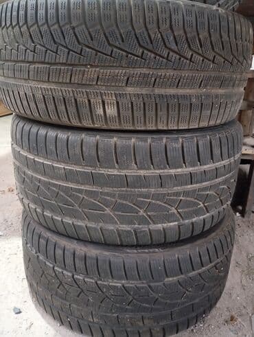 я ищу шины: Шины 245 / 45 / R 19, Зима, Легковые, Корея, Hankook — 11