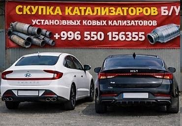 mx 5: Сервис по работе с автомобильными каталитическими нейтрализаторами — 1