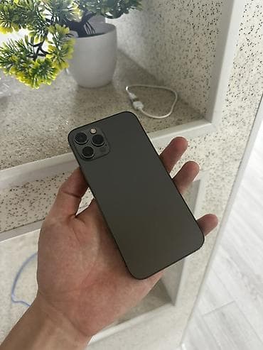 IPhone 12 Pro, Б/у, 256 ГБ, Черный, Кабель, 81 %