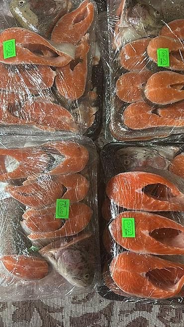 грамота цена бишкек: Форель резаная чищеная фасованная Цена 500 сом за кг рыбы Отправка в — 1
