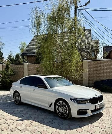 растоможен: BMW 5 series: 2020 г., 2 л, Автомат, Дизель, Седан — 1