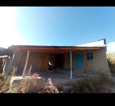 меняю на скот: Продается действующий бизнес кашар вместе с садом для разведения скота — 9