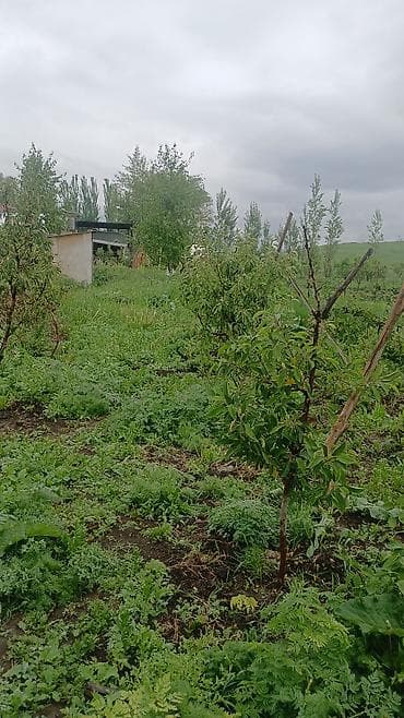 продажа фермерского хозяйства: 10 соток, Красная книга — 3