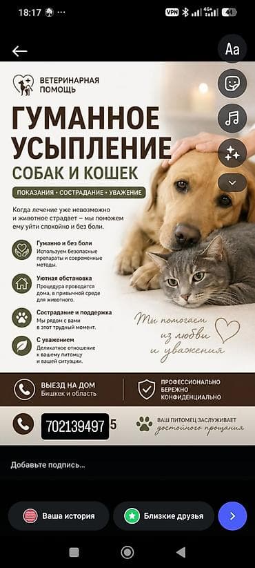 Гуманное усыпление собак и кошек на дому Ветеринарная помощь для