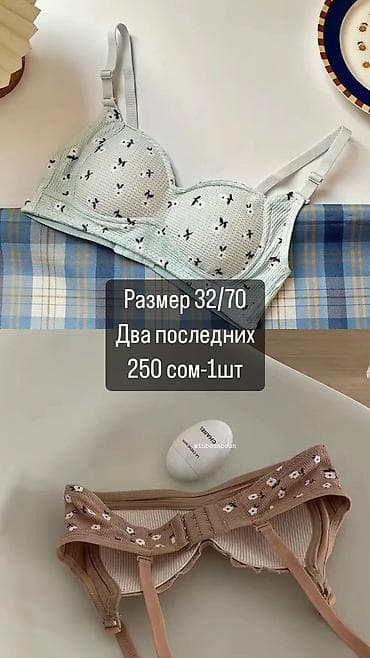 купить чемодан для ручной клади: Бюстгалтер. 2 последних. Чолпон-Ата — 1