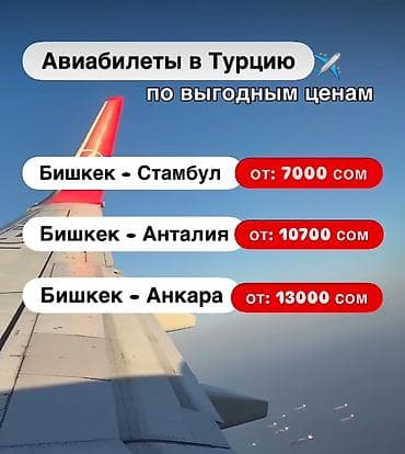 пьяное такси бишкек услуги: Кыялынызга биз мн учунуз 🌎 ✈️24/Авиабилеттер дуйнонун баардык — 7
