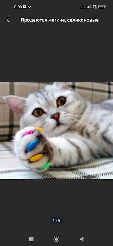 Животные: Силиконовый антицарапки. Многие на просторах интернета сталкивались — 4