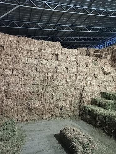 Продаю тюки люцерны и соломы тюки метровые, минимум 25 кг люцерна