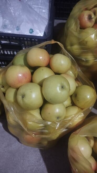 мясной домик бишкек: Яблоки В розницу — 2