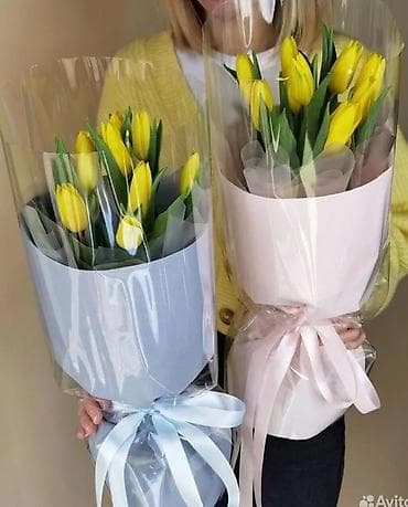 декабрист цветок: Тюльпаны срезанные — разноцветные сорта - Ассортимент: классические — 4