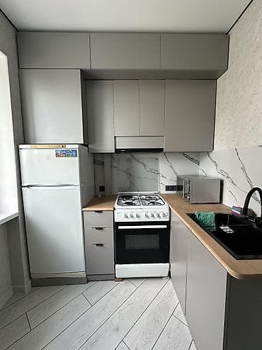 5: 2 комнаты, 55 м², ул. Алматинка / Чуй Индивидуалка, 4 этаж, Евроремонт — 8