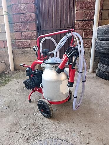 Үй жаныбарлары: Продаю в идеальном состоянии турецкий доильный аппарат для — 2