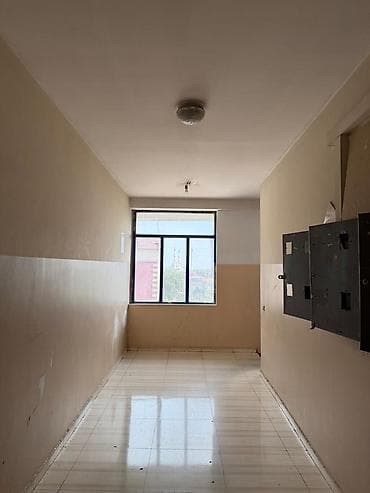 1000: 2 комнаты, 31 м², Евроремонт — 5