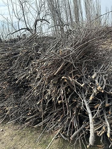 уголь в бишкеке с доставкой: Дрова Самовывоз — 2