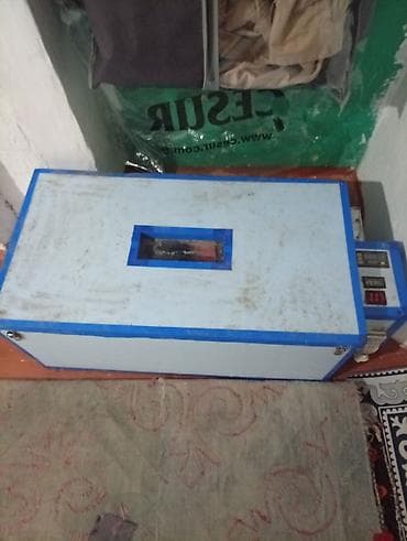 Инкубатор для яиц с электронным управлением - Прямоугольный корпус с