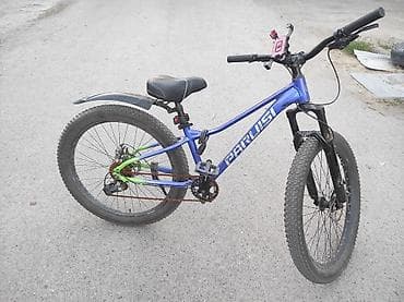 e 55 amg: Горный велосипед, Рама S (145 - 165 см), Сталь — 1