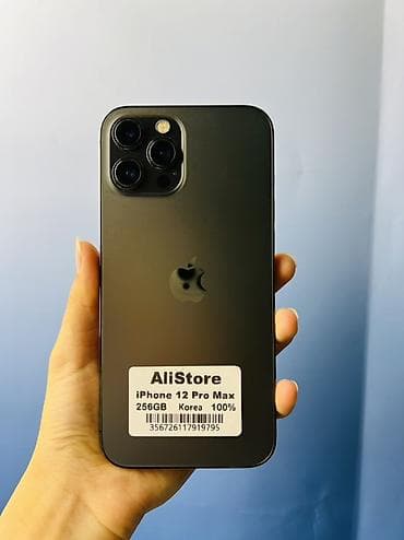 IPhone 12 Pro Max, Б/у, 256 ГБ, Графит, Зарядное устройство, Защитное стекло, Чехол, В рассрочку, 100 %