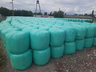 сойушка кой: Продается Сенаж в рулонах 11сом за 1кг телефон — 1