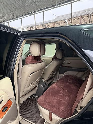 suv: Lexus RX: 2002 г., 3 л, Автомат, Бензин, Внедорожник — 6
