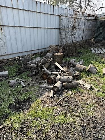 Көмүр: Отун — 4