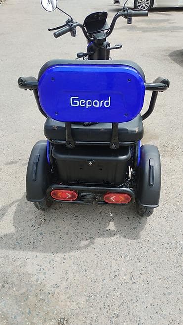 Транспорт: Электроскутер-трицикл Gepard (электрический) состоя отличное. 2 АКБ — 4