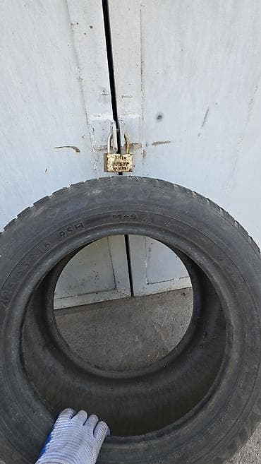 206 65 16: Шины 225 / 55 / R 16, Всесезонная, Б/у, Пара, Легковые, Япония, DUNLOP — 4