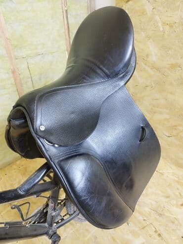 продажа домашних животных: Кожа спортивный ээр Европа+сапоги Америка(фирма CAT очень — 5