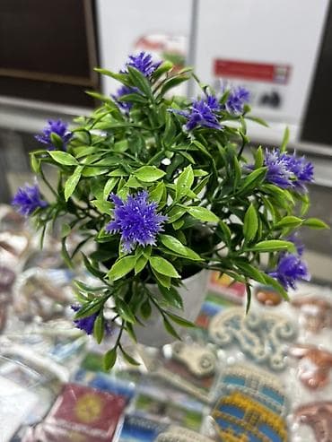 гирлянда штора 3х3: Искусственные комнатные растения в горшках - Компактные декоративные — 2