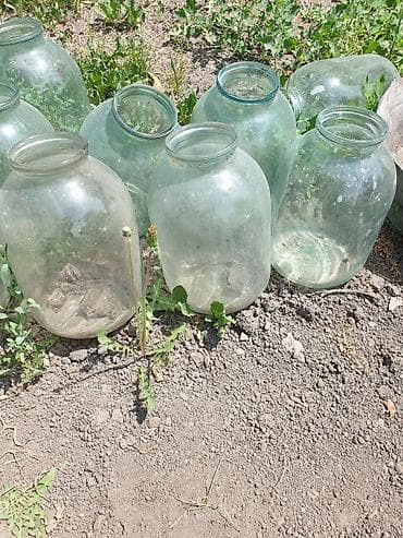 Продам банки 3х литровые б/ у 20сом 1 штука