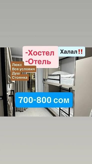 Күндүк ижара: Хостел/мини-отель с халяль-форматом проживания. Номера: - 2-, 3- и — 1