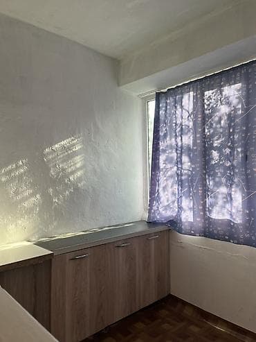 мкр аламедин 1: 1 бөлмө, Менчик ээси, Жаныбарлары жок, 1 жылдан баштап — 3