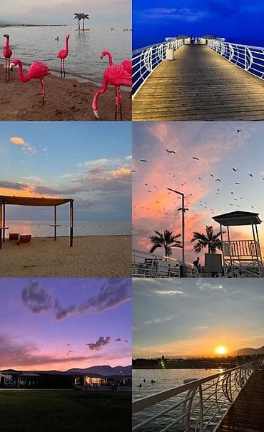 ош кватира: 2 комнаты, 44 м², Индивидуалка, 3 этаж, Евроремонт — 7