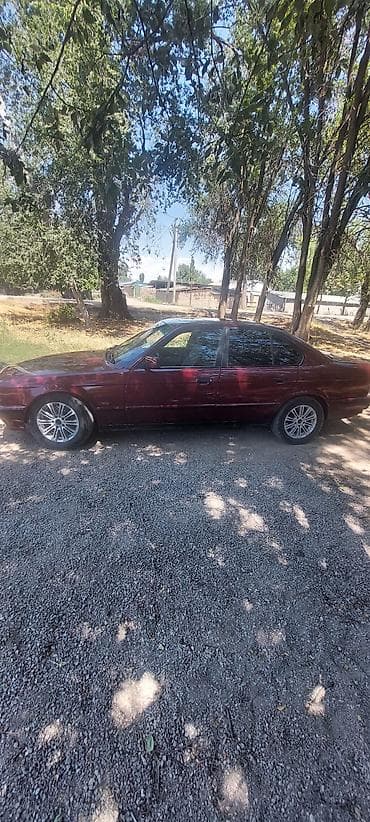 м50б25 купить: BMW 5 series: 1992 г., 2.5 л, Механика, Бензин, Седан — 7