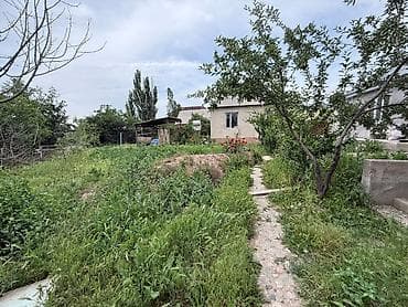 с фрунзе: Продаётся участок 8 сотки в Арча-Бешике - 215тыс.$ Просторный участок — 3